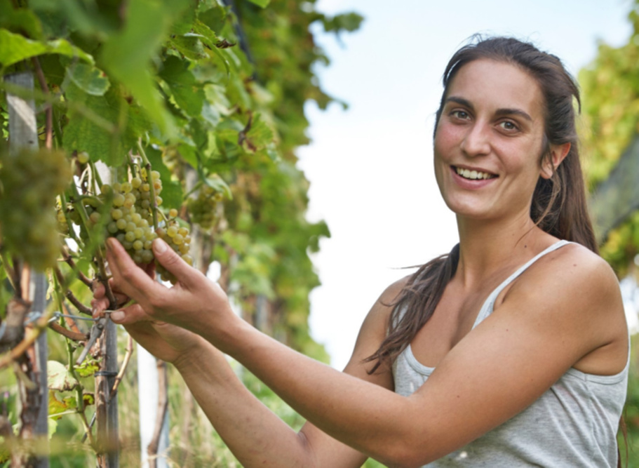 Sommerevent auf dem Bioweingut Sitenrain